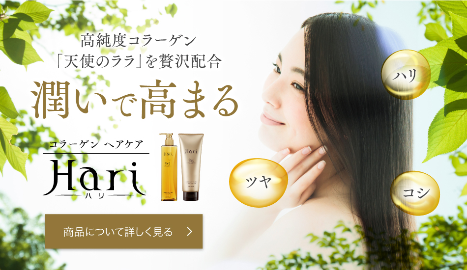ヘアケア ハリ