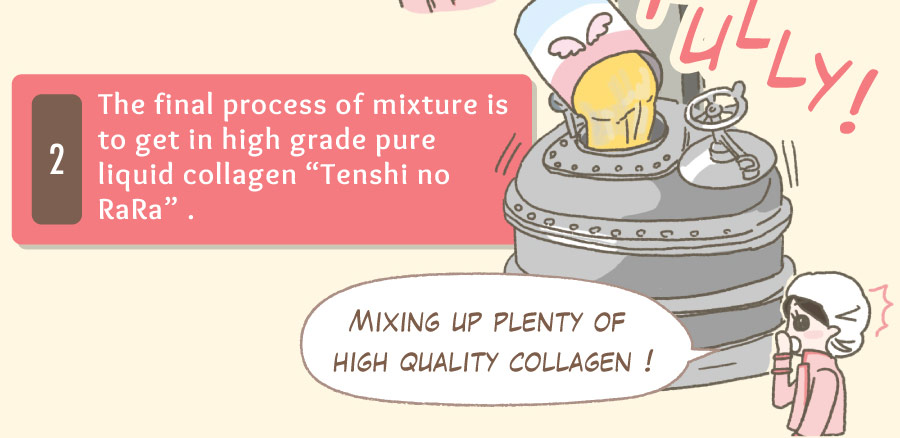 Mixing up plenty of high quality collagen !