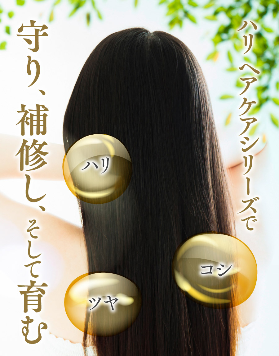 ハリヘアヘアシリーズで 守り、補修し、そして育む ハリ ツヤ コシ
