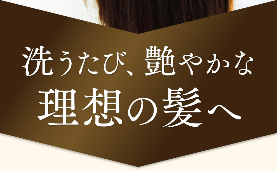 洗うたび、艷やかな理想の髪へ