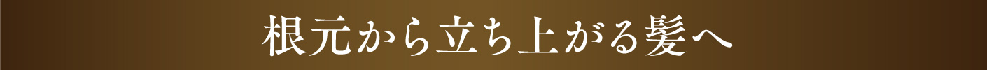 根元から立ち上がる髪へ