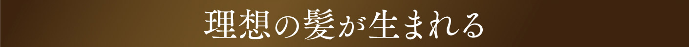 理想の髪が生まれる