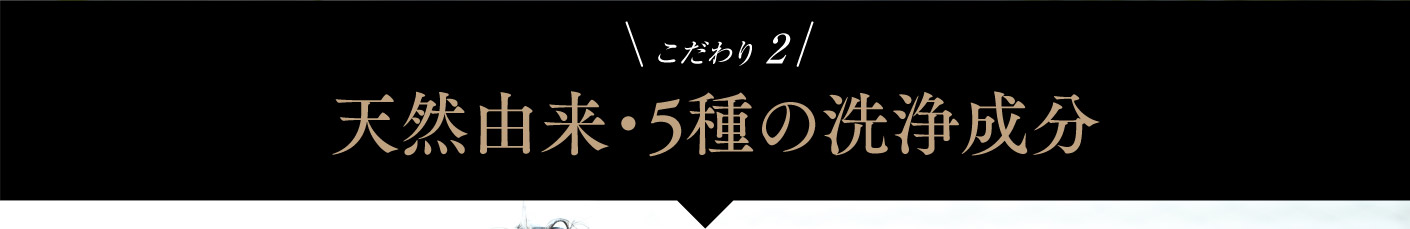 こだわり 2 天然由来・5種の洗浄成分