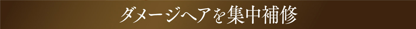 ダメージヘアを集中補修