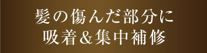 髪の傷んだ部分に吸着＆集中補修