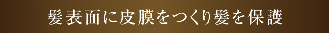 髪表面に皮膜をつくり髪を保護