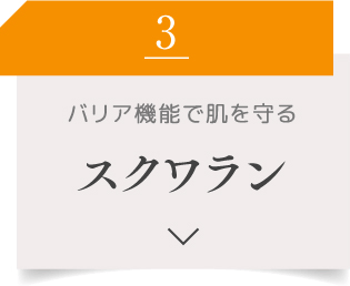 3 バリア機能で肌を守る スクワラン