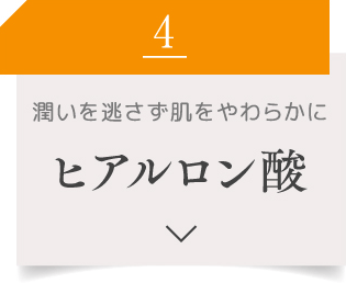 4 潤いを逃さず肌をやわらかに アボカド油