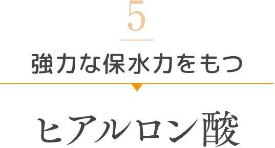 5 強力な保水力をもつ ヒアルロン酸