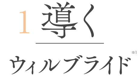 1 導く ウィルブライド ※1