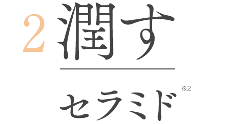 2 潤す セラミド※2