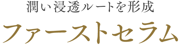 潤い浸透ルートを形成 ファーストセラム