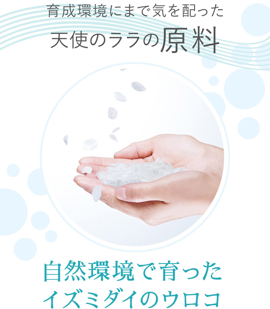 育成環境にまで気を配った 天使のララの 原料 自然環境で育ったイズミダイのウロコ