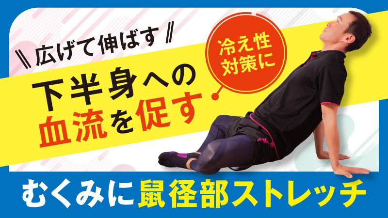 広げて伸ばす 冷え性対策に下半身への血流を促す むくみに鼠径部ストレッチ