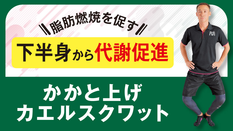脂肪燃焼を促す 下半身から代謝促進 かかと上げカエルスクワット