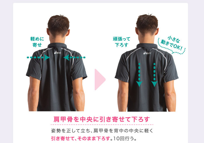 肩甲骨を中央に引き寄せて下ろす 姿勢を正して立ち、肩甲骨を背中の中央に軽く引き寄せて、そのまま下ろす。10回行う。