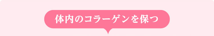 体内のコラーゲンを保つ
