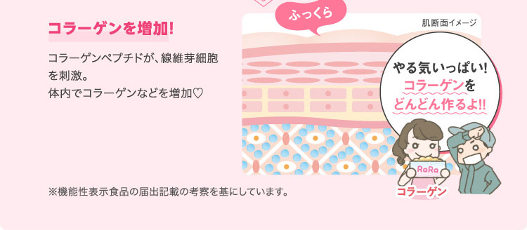 コラーゲンを増加!