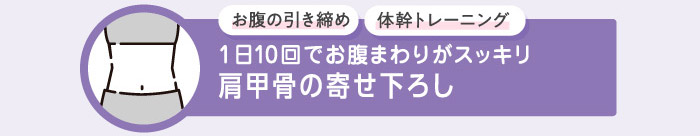 お腹の引き締め 体幹トレーニング 1日10回でお腹まわりがスッキリ肩甲骨の寄せ下ろし