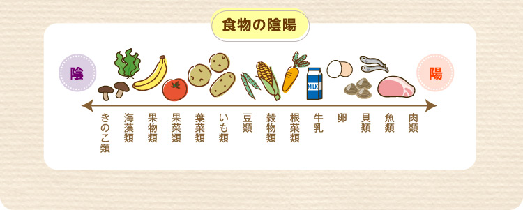 食物の陰陽