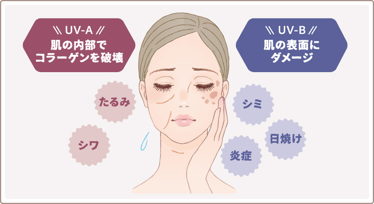 UV-A UV-B