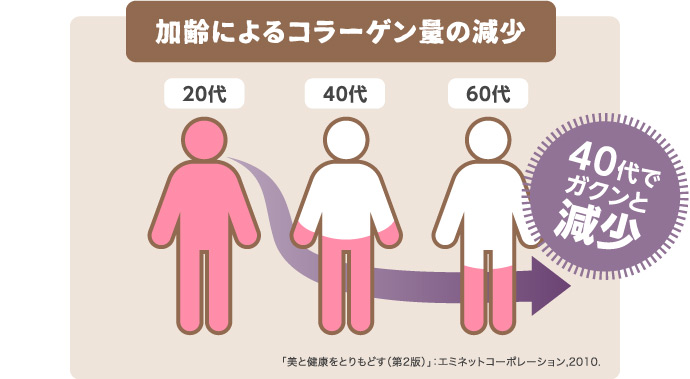 加齢によるコラーゲン量の減少