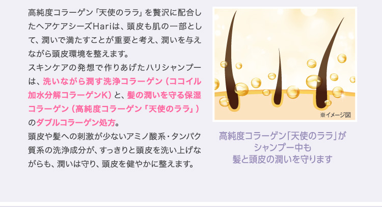 高純度コラーゲン「天使のララ」を贅沢に配合したヘアケアシーズHariは、頭皮も肌の一部として、潤いで満たすことが重要と考え、潤いを与えながら頭皮環境を整えます。