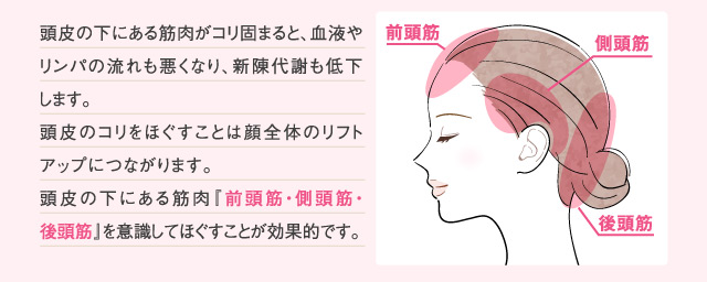 頭皮の下にある筋肉がコリ固まると、血液やリンパの流れも悪くなり、新陳代謝も低下します。頭皮のコリをほぐすことは顔全体のリフトアップにつながります。頭皮の下にある筋肉『前頭筋・側頭筋・後頭筋』を意識してほぐすことが効果的です。