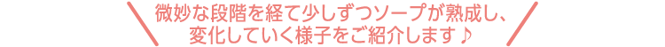 微妙な段階を経て少しずつソープが熟成し、変化していく様子をご紹介します♪