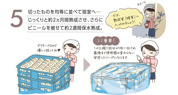 5切ったものを均等に並べて暗室へ…じっくりと約2ヵ月間熟成させ、さらにビニールを被せて約2週間保水熟成。