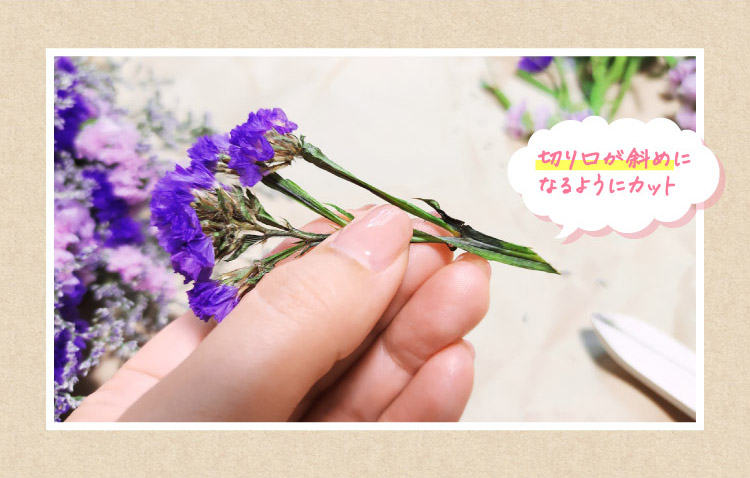 切り口が斜めになるようにカット