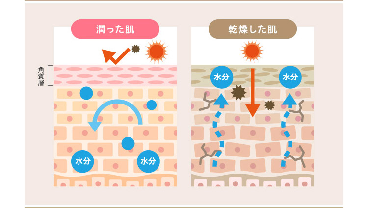 潤った肌　乾燥した肌