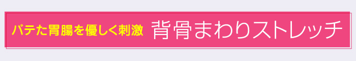 下半身への血流を促す背骨まわりストレッチ