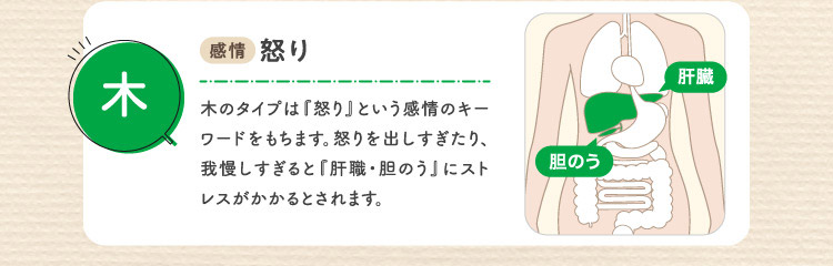 木 感情:怒り 臓器:肝臓・胆のう