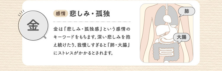 金 感情:悲しみ・孤独 臓器:肺・大腸