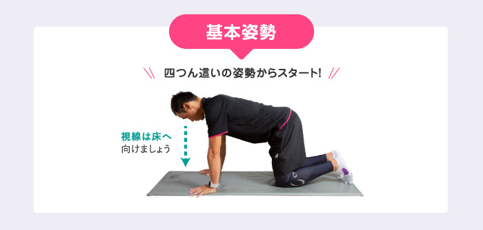 基本姿勢 四つん這いの姿勢からスタート!