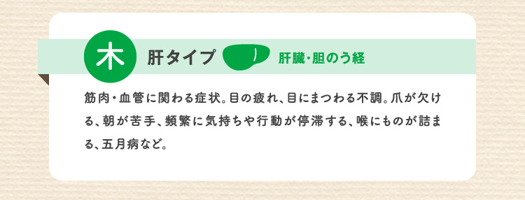 木 肝タイプ 肝臓・胆のう経