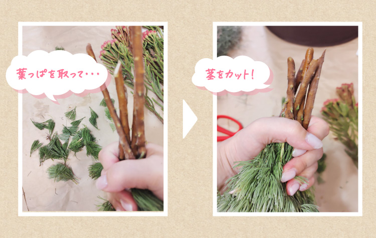 葉っぱを取って… 茎をカット!