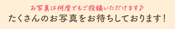 お写真は何度でもご応募いただけます♪