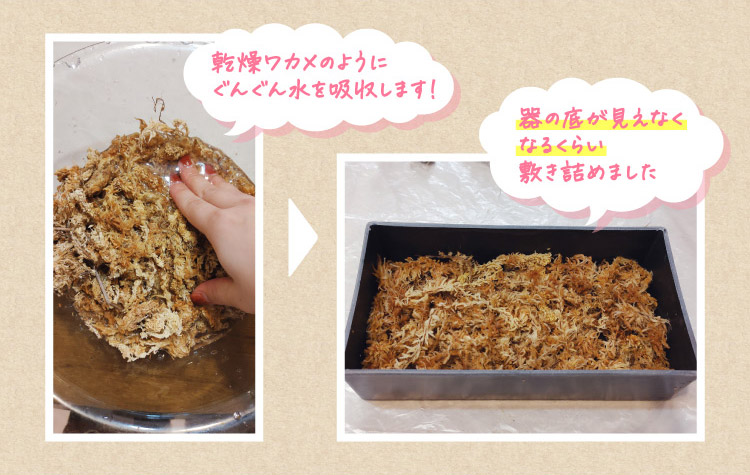 乾燥ワカメのようにぐんぐん水を吸収します!器の底が見えなくなるくらい敷き詰めました