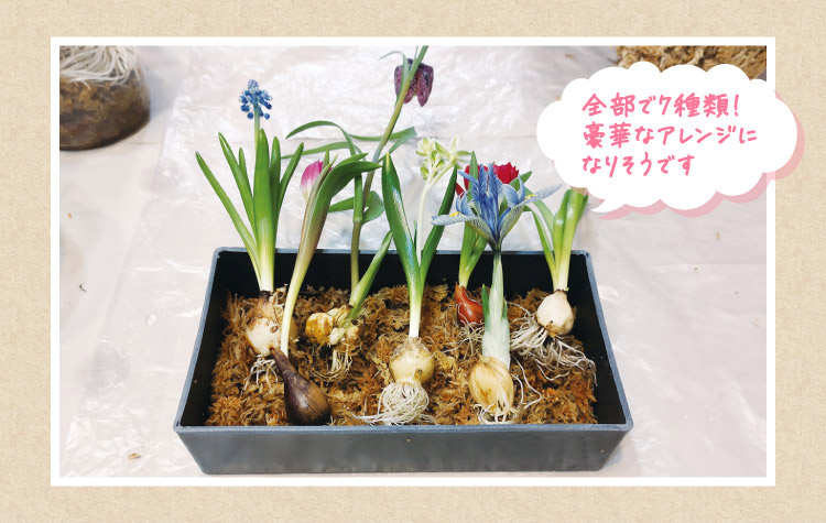 全部で7種類!豪華なアレンジになりそうです