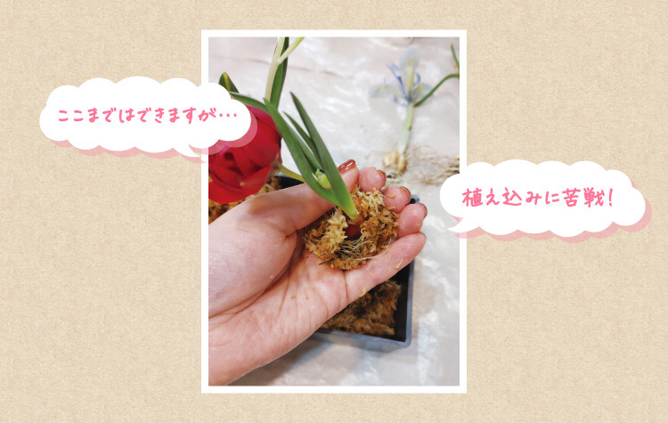 ここまではできますが…植え込みに苦戦!