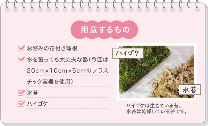 用意するもの