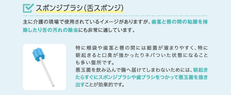 スポンジブラシ(舌スポンジ)