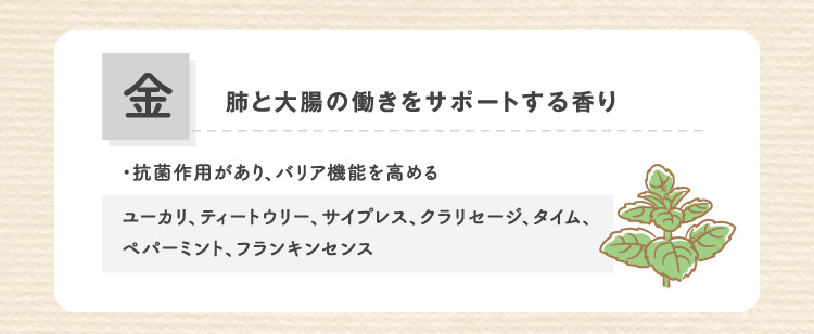金 肺と大腸の働きをサポートする香り