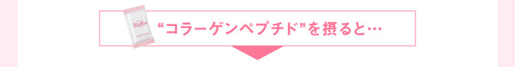 “コラーゲンペプチド”を摂ると…