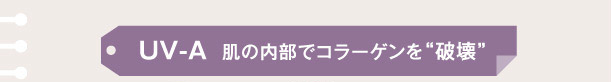 UV-A 肌の内部でコラーゲンを〝破壊〟