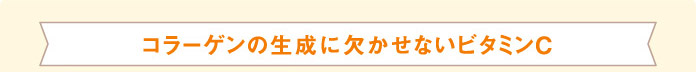 コラーゲンの生成に欠かせないビタミンC