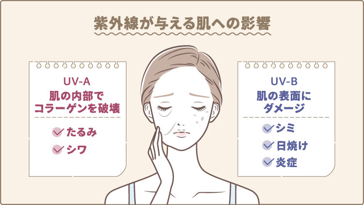 紫外線が与える肌への影響