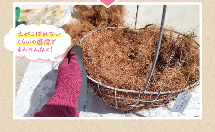 土がこぼれないくらいの密度でまんべんなく!